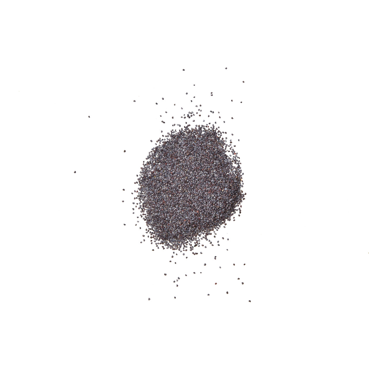 Poppy Seed