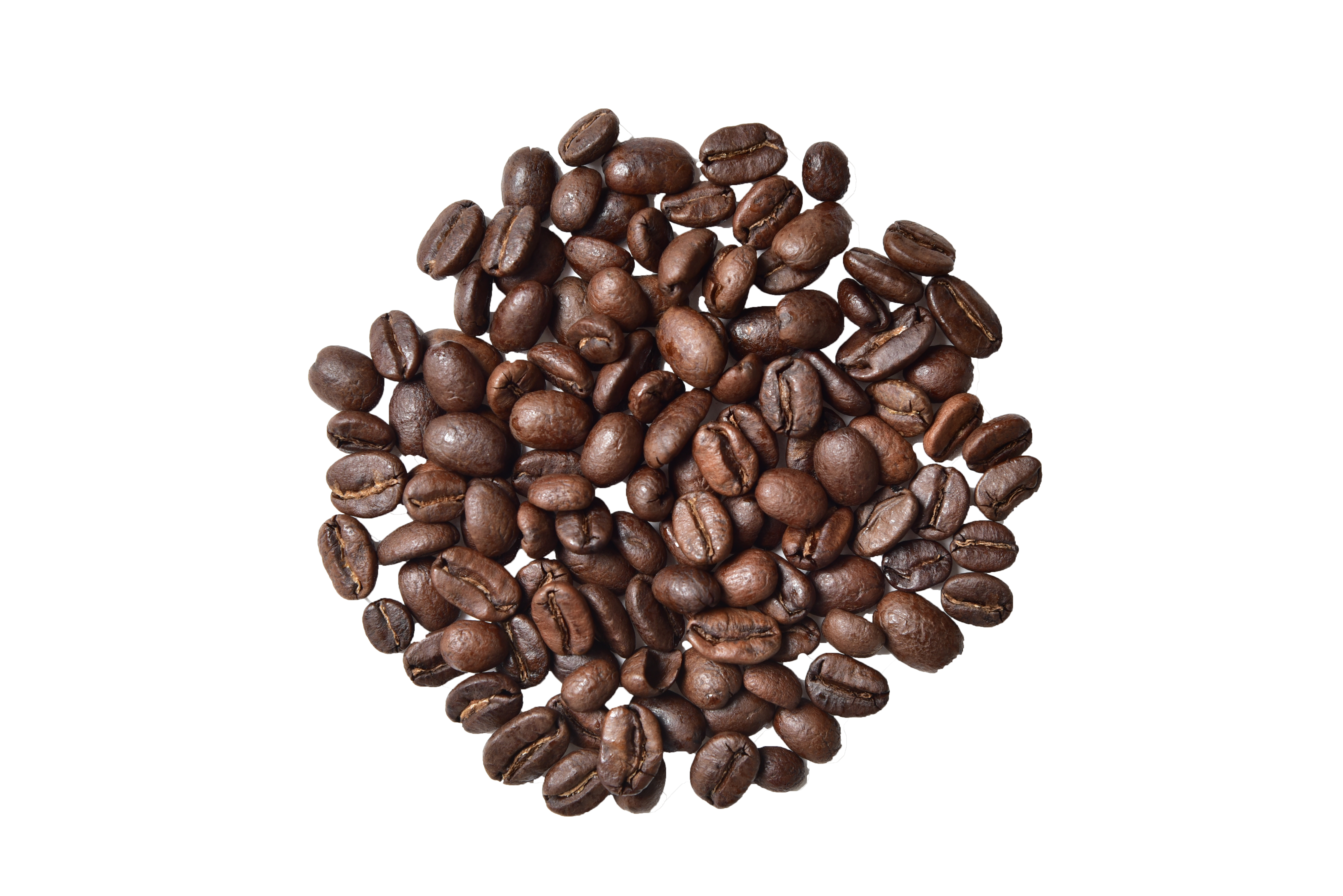 Village Blend