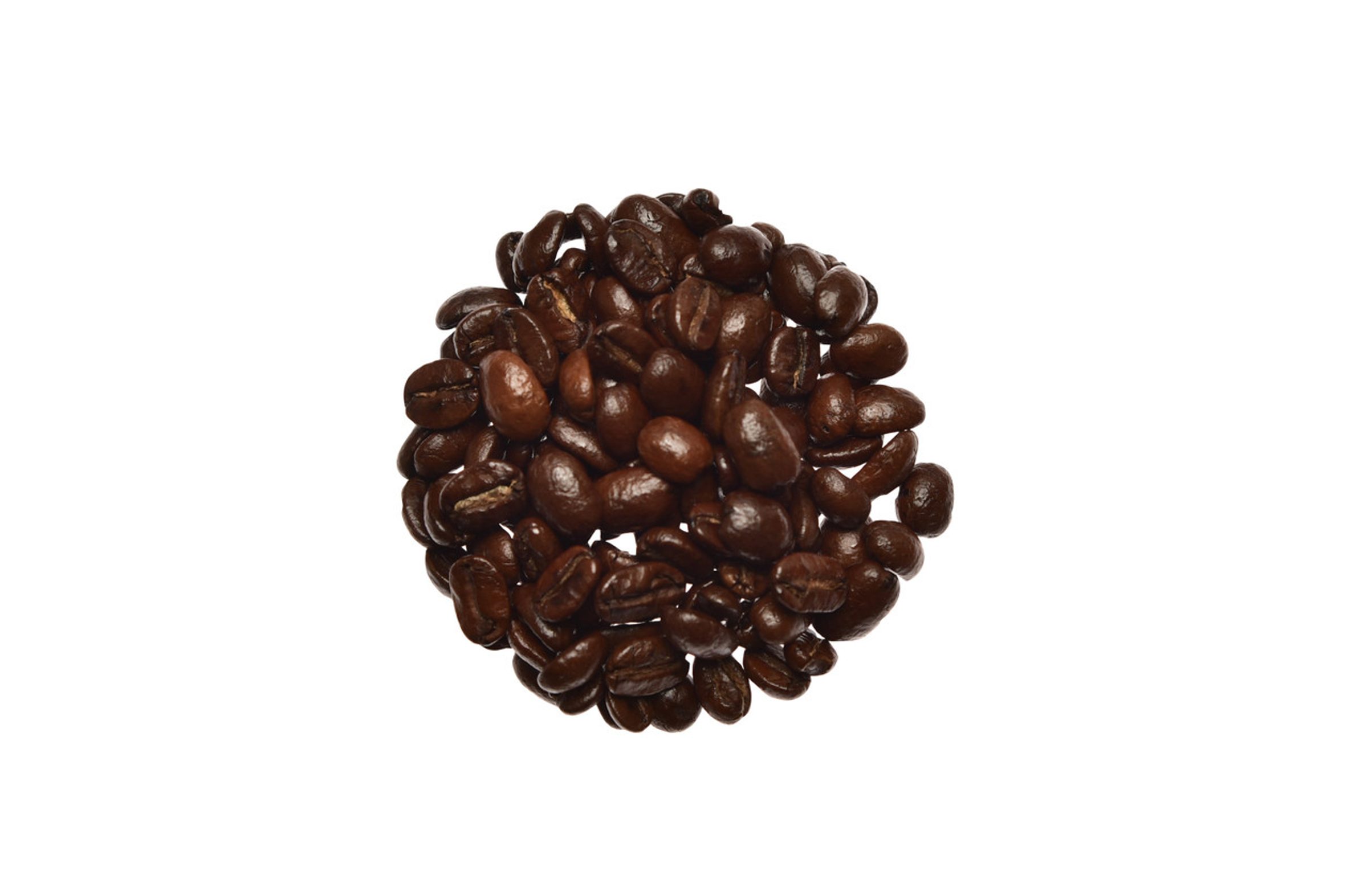 Christmas Cookie Decaf
