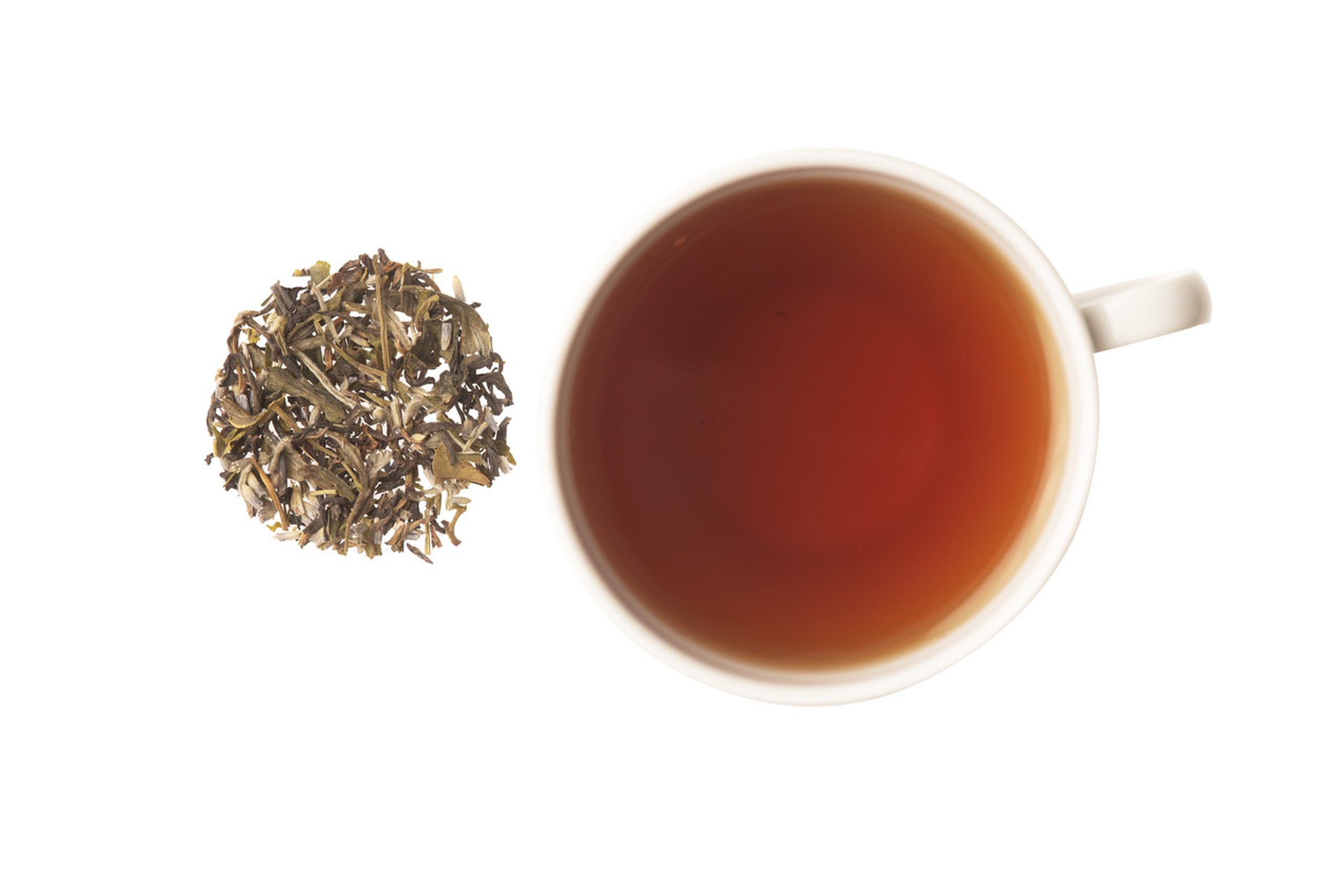 Study Blend Tea